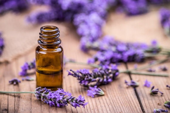 essential oils for anxiety