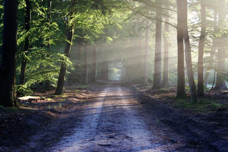 heal your anxiety