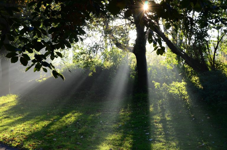 mindfulness for anxiety