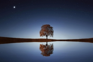 Where anxiety healing starts