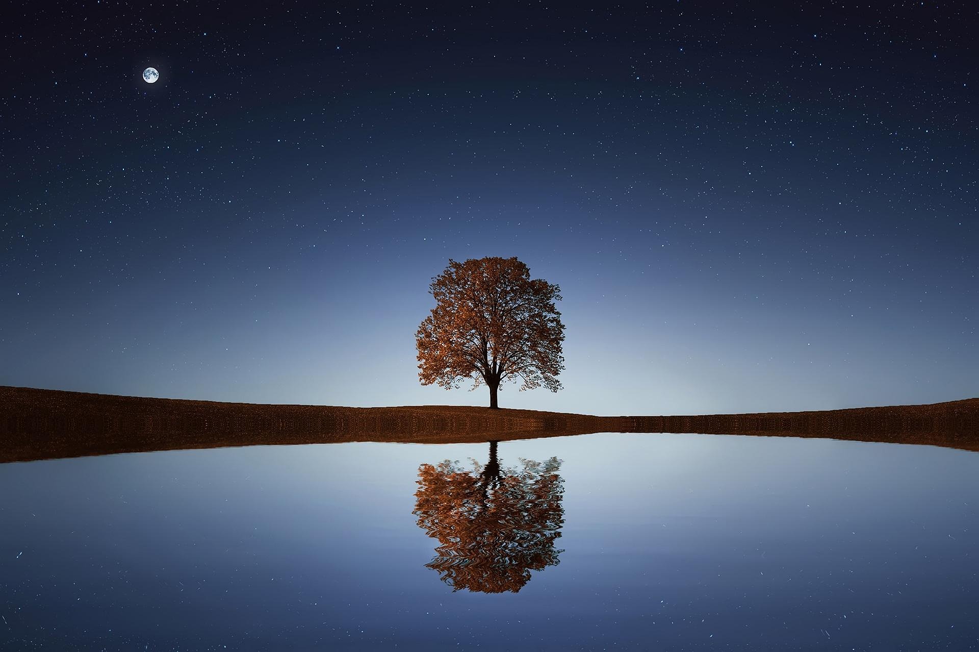 Where anxiety healing starts