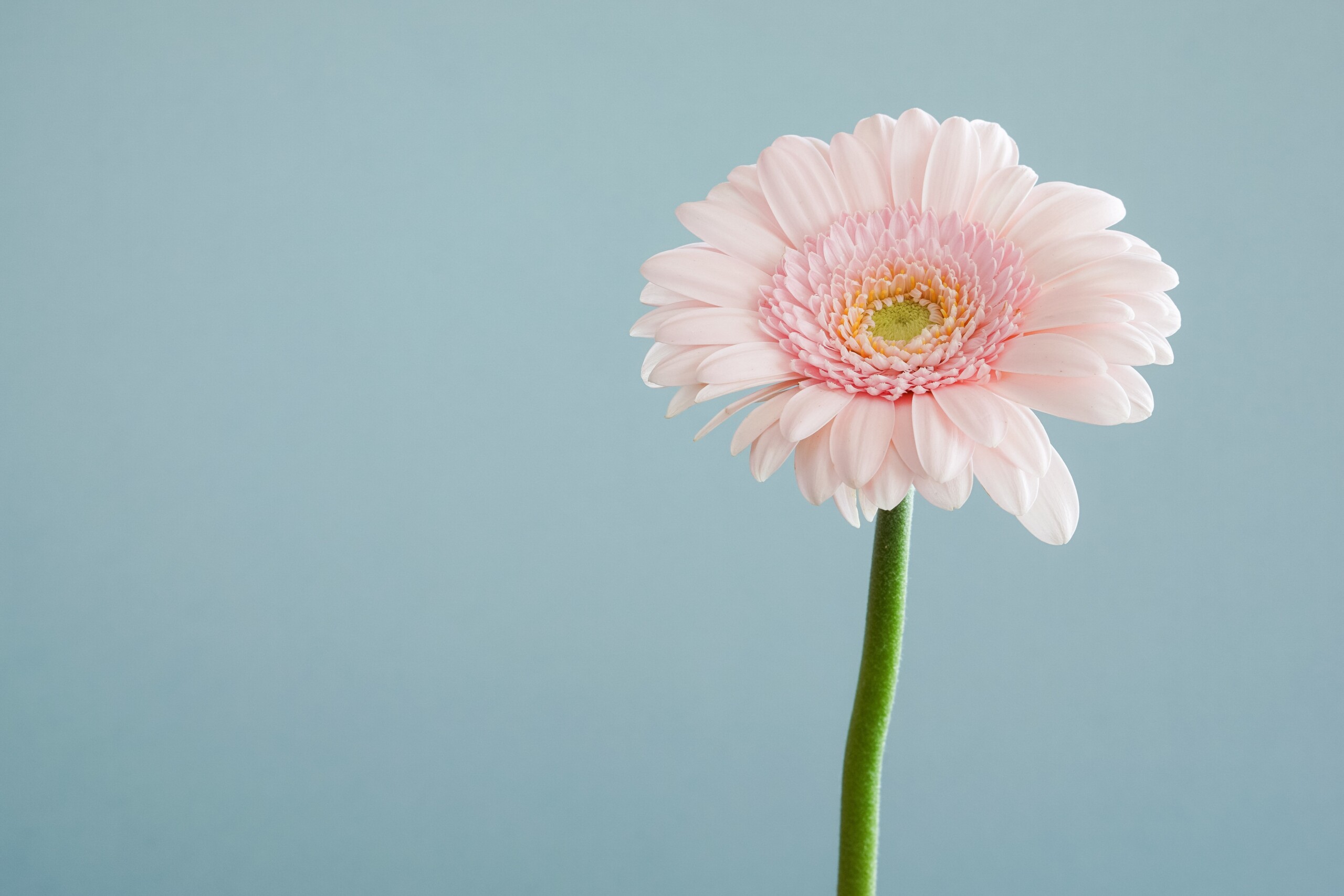 how to stop chronic stress